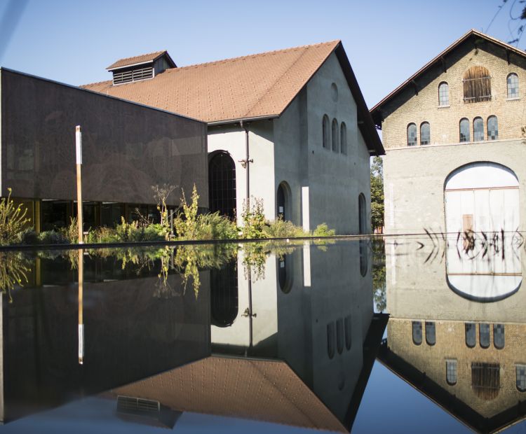 inatura und Kunstraum Dornbirn