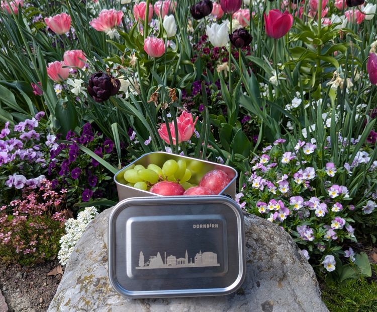 PXL_20250428_122658321