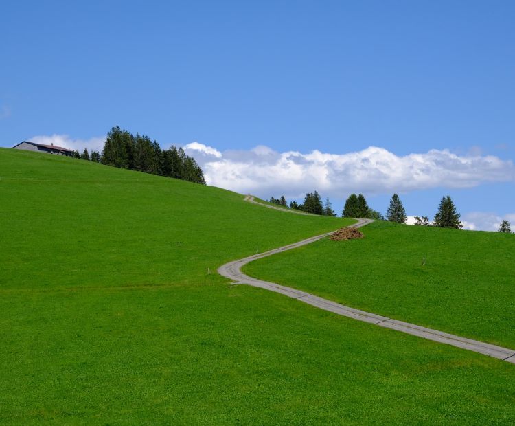 Vom BÃ¶dele zum BrÃ¼ggele