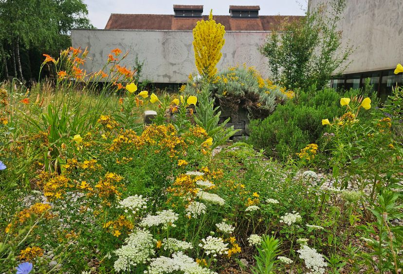 Kräutergarten 4 ©inatura.jpg Kräutergarten 4 ©inatura.jpg