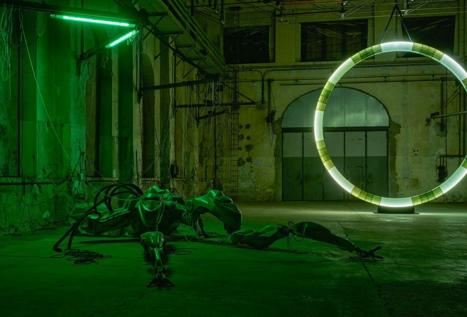 LR-Kunstraum_Allieri_2026_Photo_Wett-015c.jpg LR-Kunstraum_Allieri_2026_Photo_Wett-015c.jpg