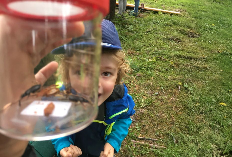 Out of the box _c inatura.jpg