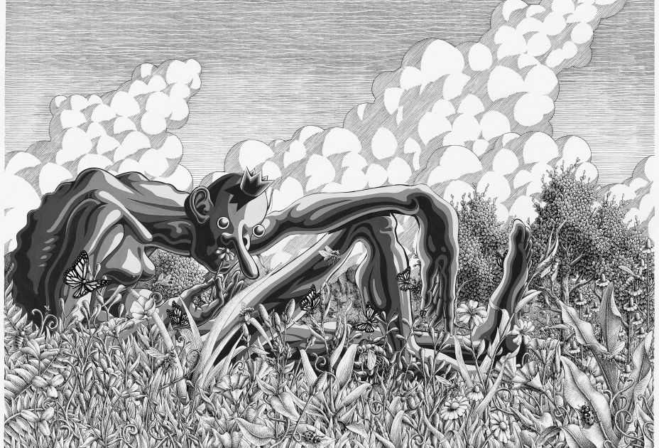 unnamed.jpg unnamed.jpg