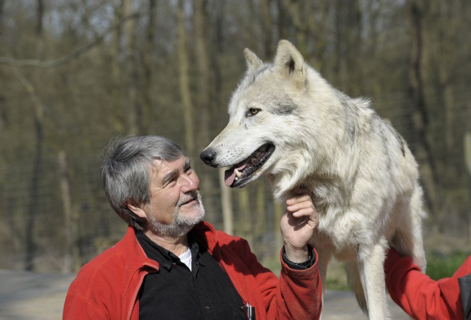 Kurt_Kotrschal_Timberwolf_Chitto@WSC.jpg Kurt_Kotrschal_Timberwolf_Chitto@WSC.jpg