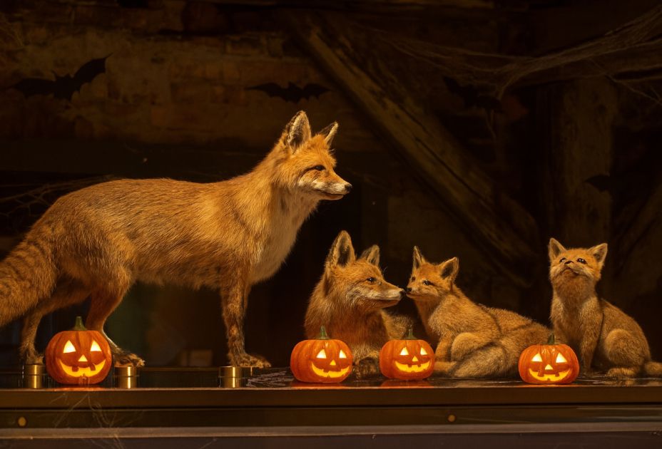 Gemeinsam im Museum â Halloween © KI generiert.jpg Gemeinsam im Museum â Halloween © KI generiert.jpg
