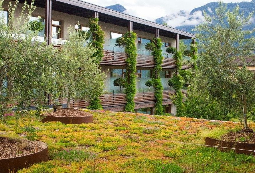 AufbÃ¤umen â mit DachgÃ¤rten und GrÃ¼nfassaden_Â© Conrad Amber.jpg