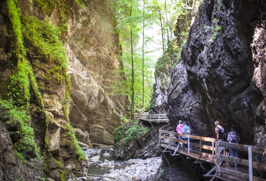 Rappenlochschlucht Rappenlochschlucht