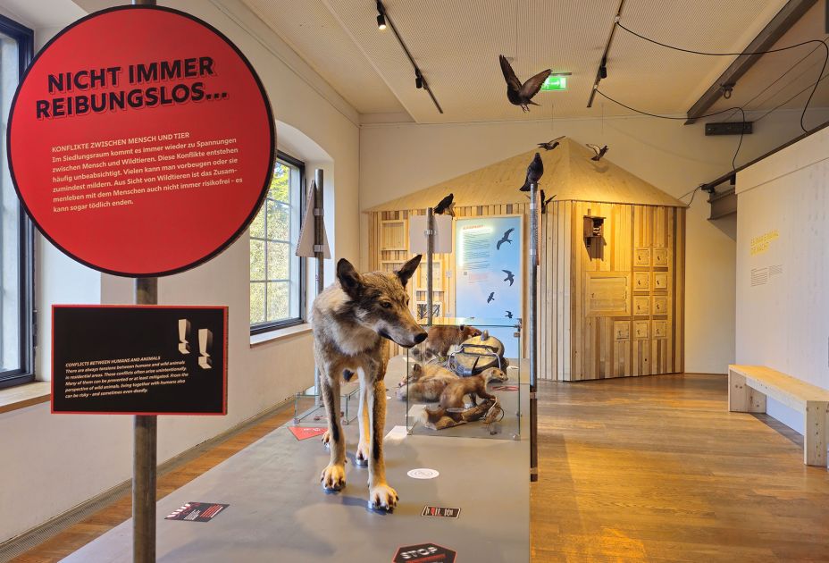 WildnisStadt-10 Â©inatura.jpg