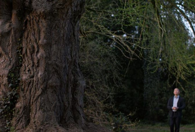 Silent_Friend__Still_klein__(c) Polyfilm.jpg