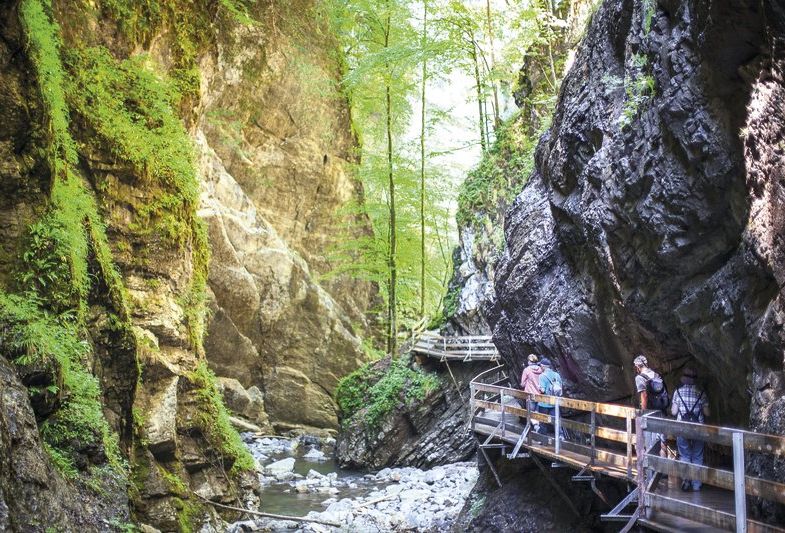 Rappenlochschlucht.jpg Rappenlochschlucht.jpg