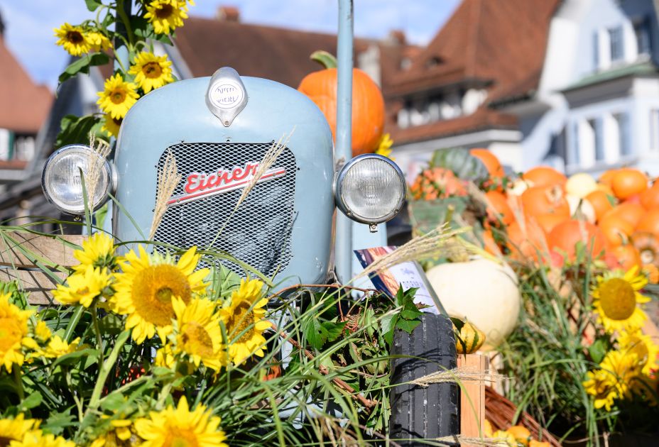 Herbstmarkt_24_BY_MATTHIAS_RHOMBERG_014Herbstmarkt