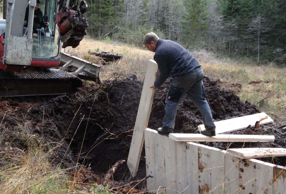 Das Renaturierungsgesetz _c Anne Puchta.jpg