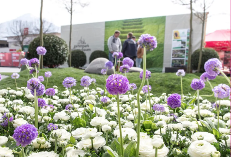 SC Bild.png SC Bild.png