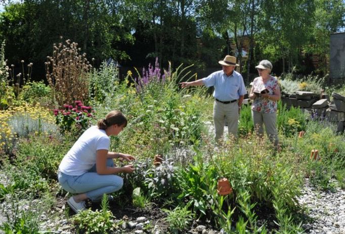 Kräutergartentreff_Bild KI bearbeitet (1).jpg Kräutergartentreff_Bild KI bearbeitet (1).jpg