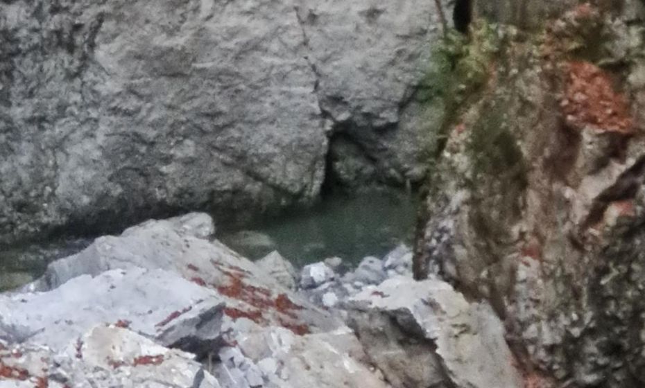 Appartement Melinda Ebnit Appartement Melinda Ebnit