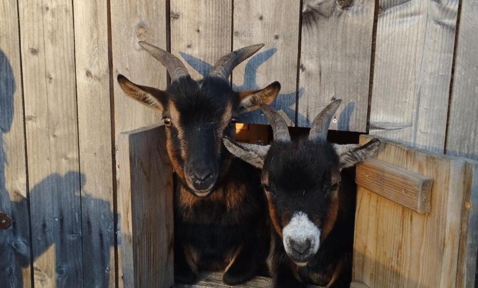 Haus Abendrot Haus Abendrot