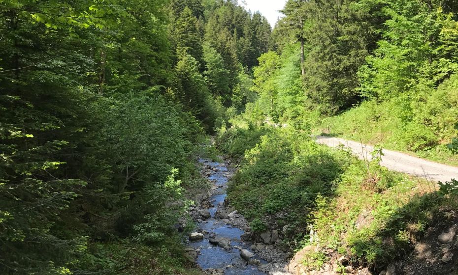 Radtour Dornbirn Gütle Sattelalpe kobelach Radtour Dornbirn Gütle Sattelalpe kobelach