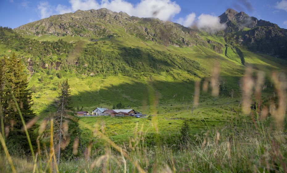 Innerkapellalpe Innerkapellalpe