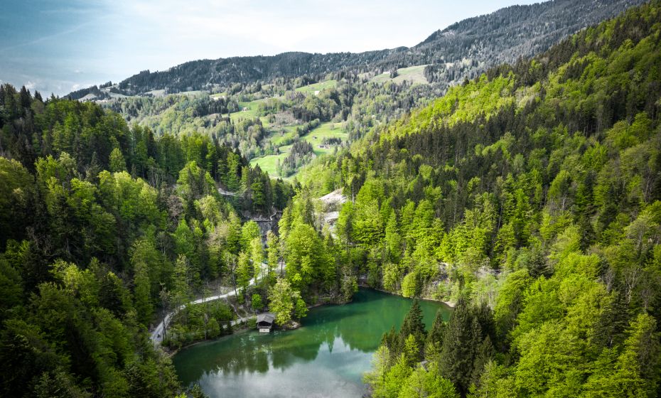 __Bödele (c) Studio Fasching - Dornbirn Tourismus & Stadtmarketing GmbH (5) __Bödele (c) Studio Fasching - Dornbirn Tourismus & Stadtmarketing GmbH (5)