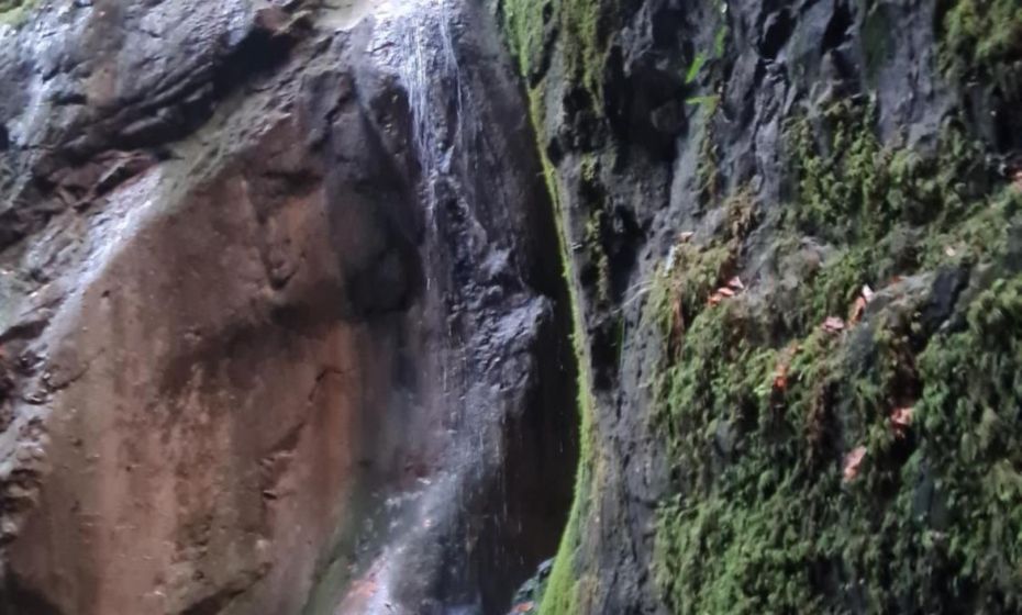 Appartement Melinda Ebnit