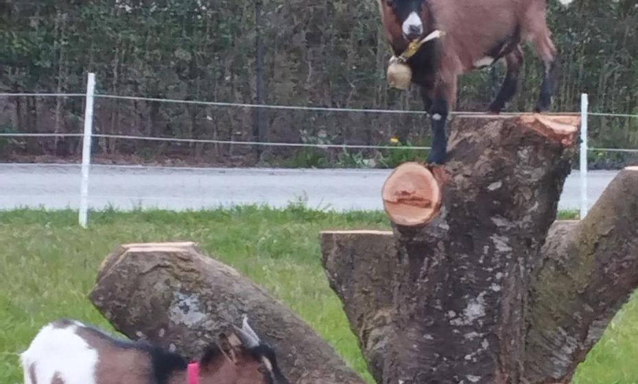 Haus Abendrot Haus Abendrot