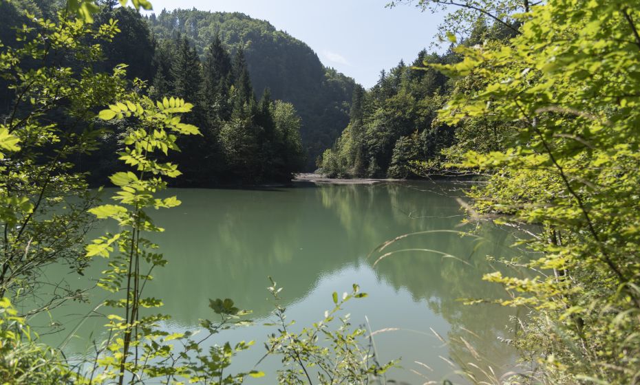 Staufensee Staufensee