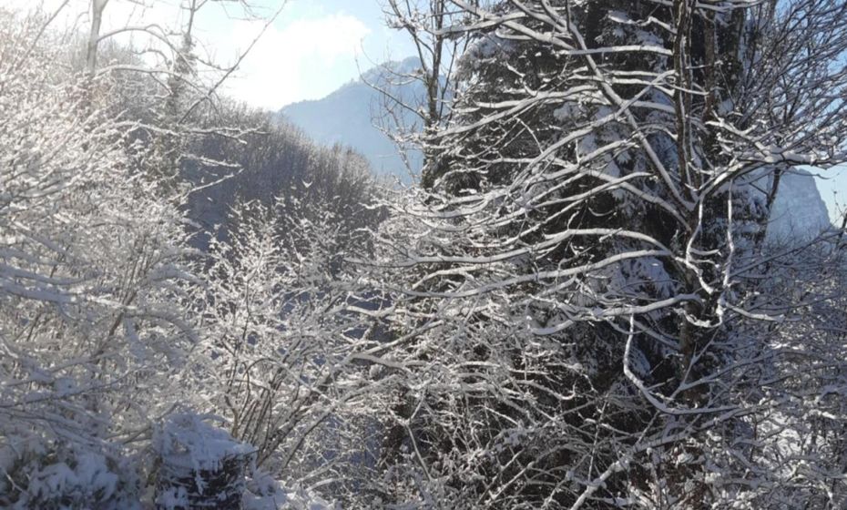 Ferienwohnung Bodenseeblick Ferienwohnung Bodenseeblick