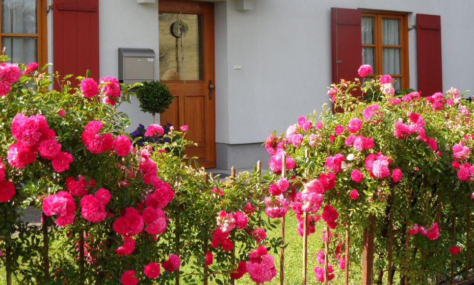 Ferienwohnung Lilly, AuÃen Â© Ferienwohnung Lilly