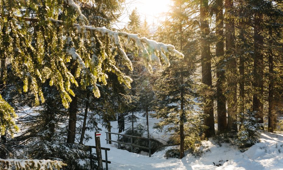 Unterwegs mit Bödele Birgit Steffi Unterwegs mit Bödele Birgit Steffi