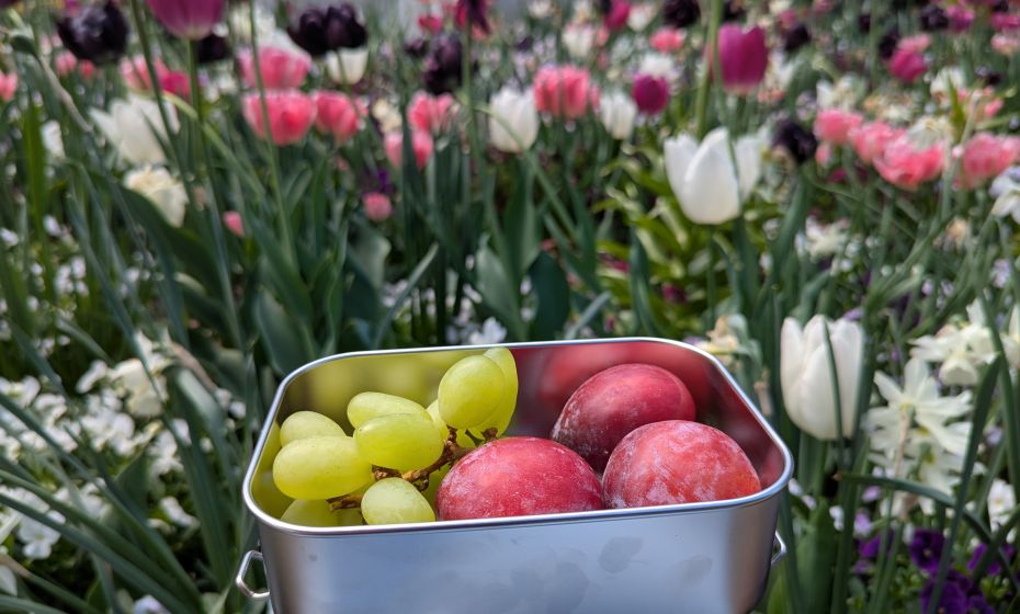 PXL_20250428_122544273