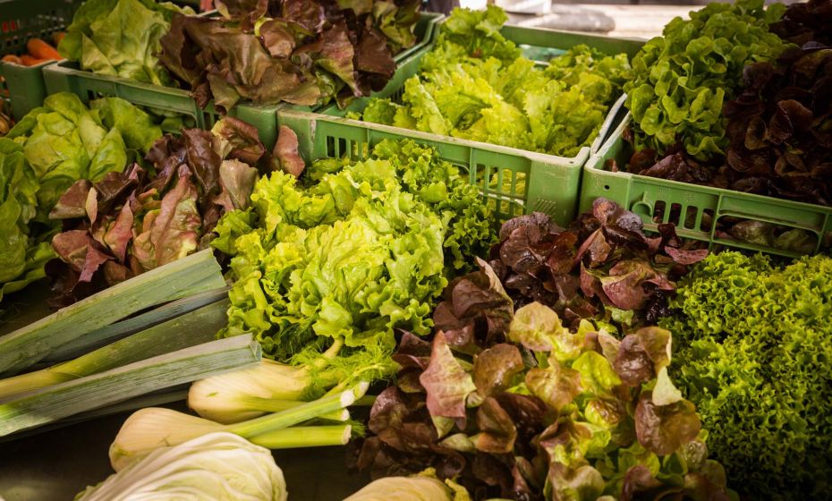 DornbirnerWochenmarkt(c)DornbirnTourismus&StadtmarketingGmbH_www.fasching.photo (65) Wochenmarkt