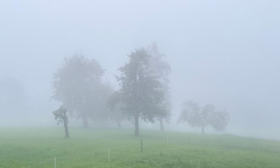 Auszeit mit Weitblick! Ankommen & Loslassen