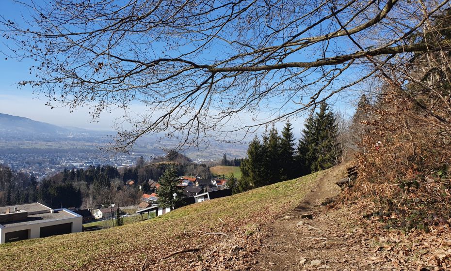 Ausblick von Dornbirn Watzenegg Ausblick von Dornbirn Watzenegg
