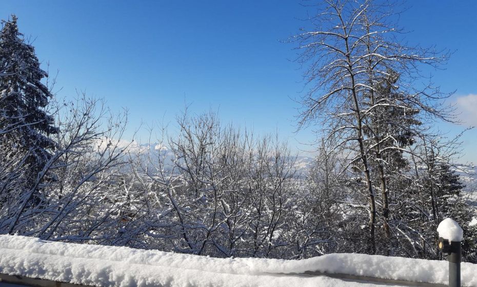 Ferienwohnung Bodenseeblick Ferienwohnung Bodenseeblick