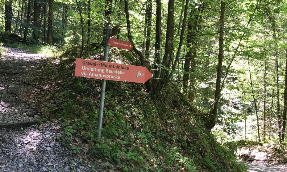 Radtour Dornbirn GÃ¼tle Sattelalpe abzweigung-ammansbruecke