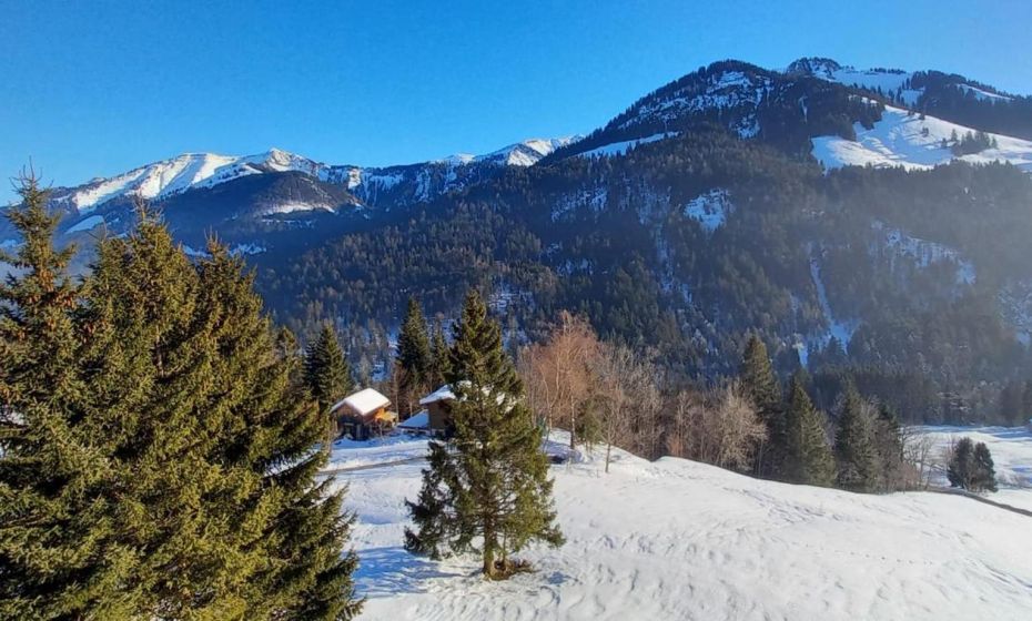 Appartement Melinda Ebnit Appartement Melinda Ebnit