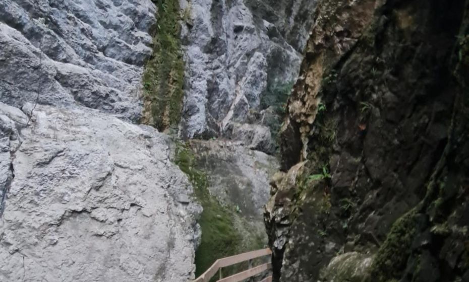 Appartement Melinda Ebnit