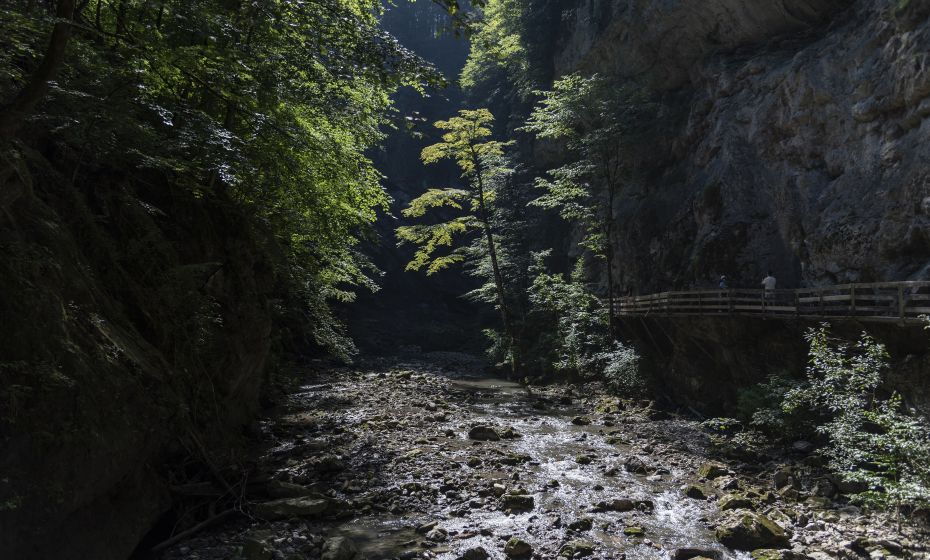 Rappenlochschlucht