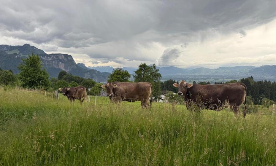Auszeit mit Weitblick! Ankommen & Loslassen