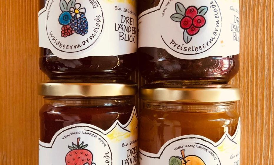 Hotel Dreiländerblick Dornbirn Hotel Dreiländerblick Dornbirn