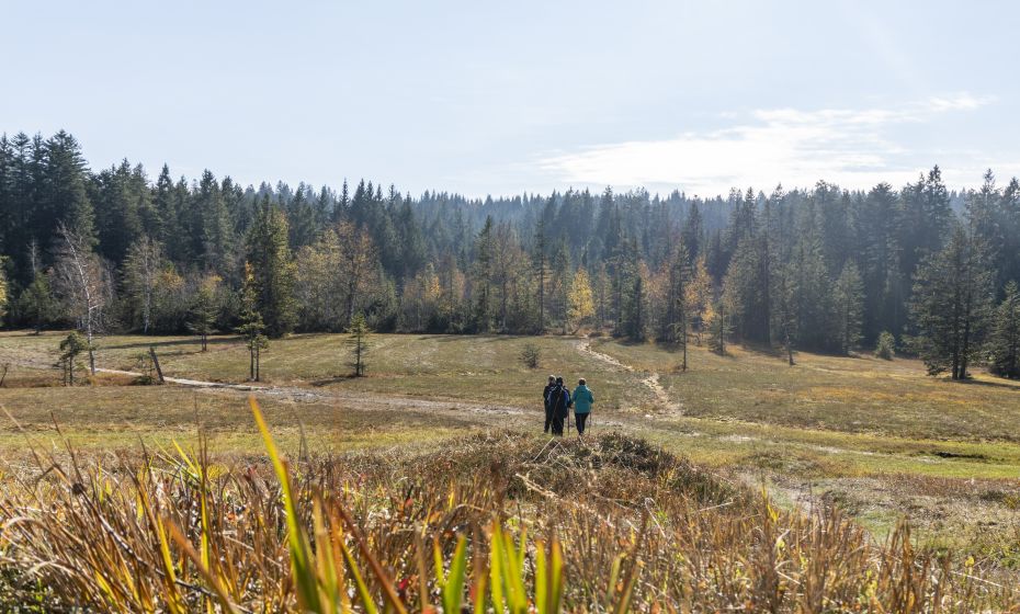 Wanderung durch das Fohramoos Wanderung durch das Fohramoos