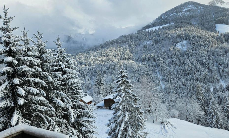 Appartement Melinda Ebnit Appartement Melinda Ebnit