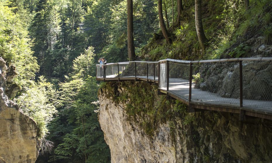 Rappenlochschlucht Rappenlochschlucht
