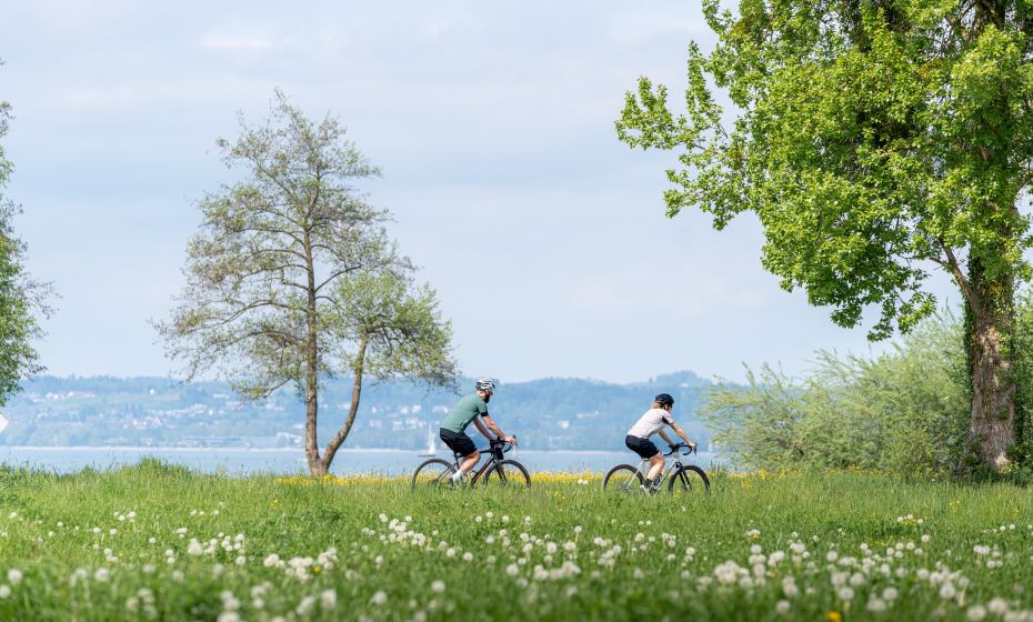 Gravelbike Bregenz