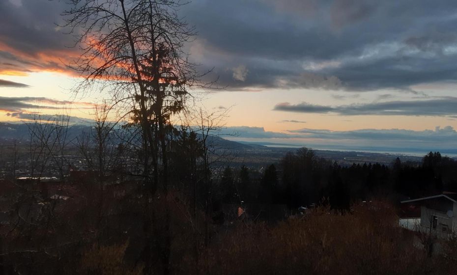 Ferienwohnung Bodenseeblick Ferienwohnung Bodenseeblick