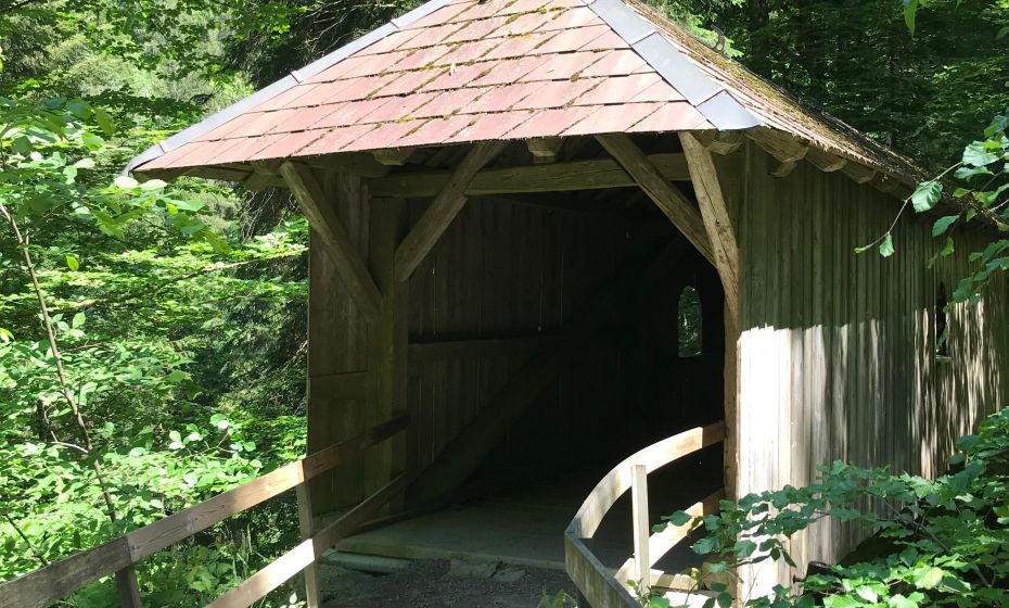 Radtour Dornbirn GÃ¼tle Sattelalpe ammansbruecke