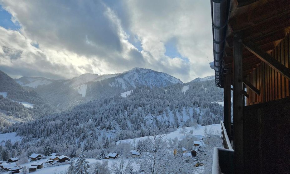 Appartement Melinda Ebnit Appartement Melinda Ebnit