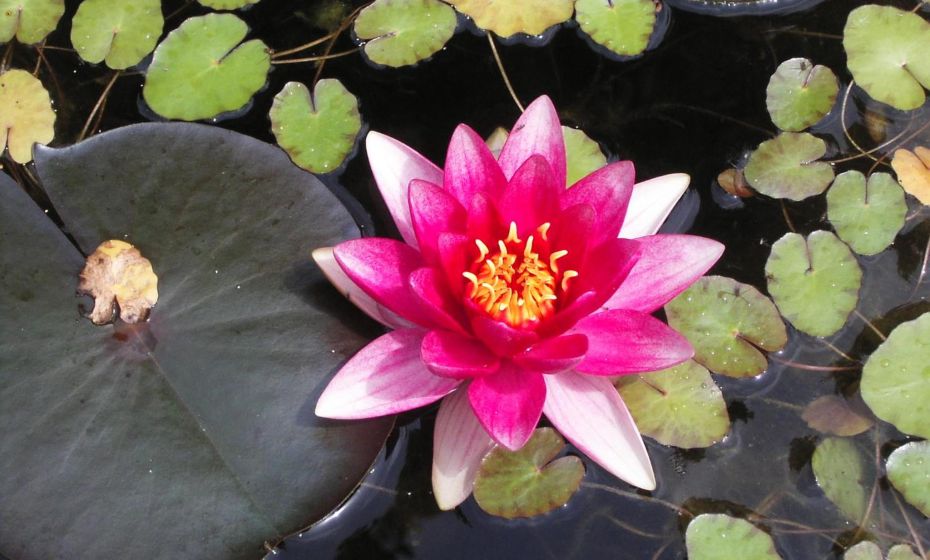 Ferienwohnung Geismayr