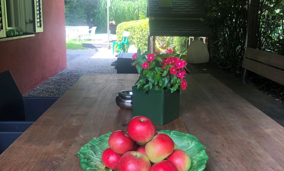 B&B Waltner, Dornbirn, Sitzplatz Pergola B&B Waltner, Dornbirn, Sitzplatz Pergola