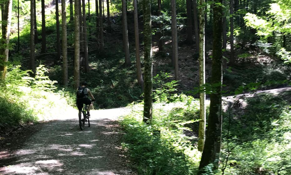 Radtour Dornbirn Gütle Sattelalpe richtung-durchstich Radtour Dornbirn Gütle Sattelalpe richtung-durchstich